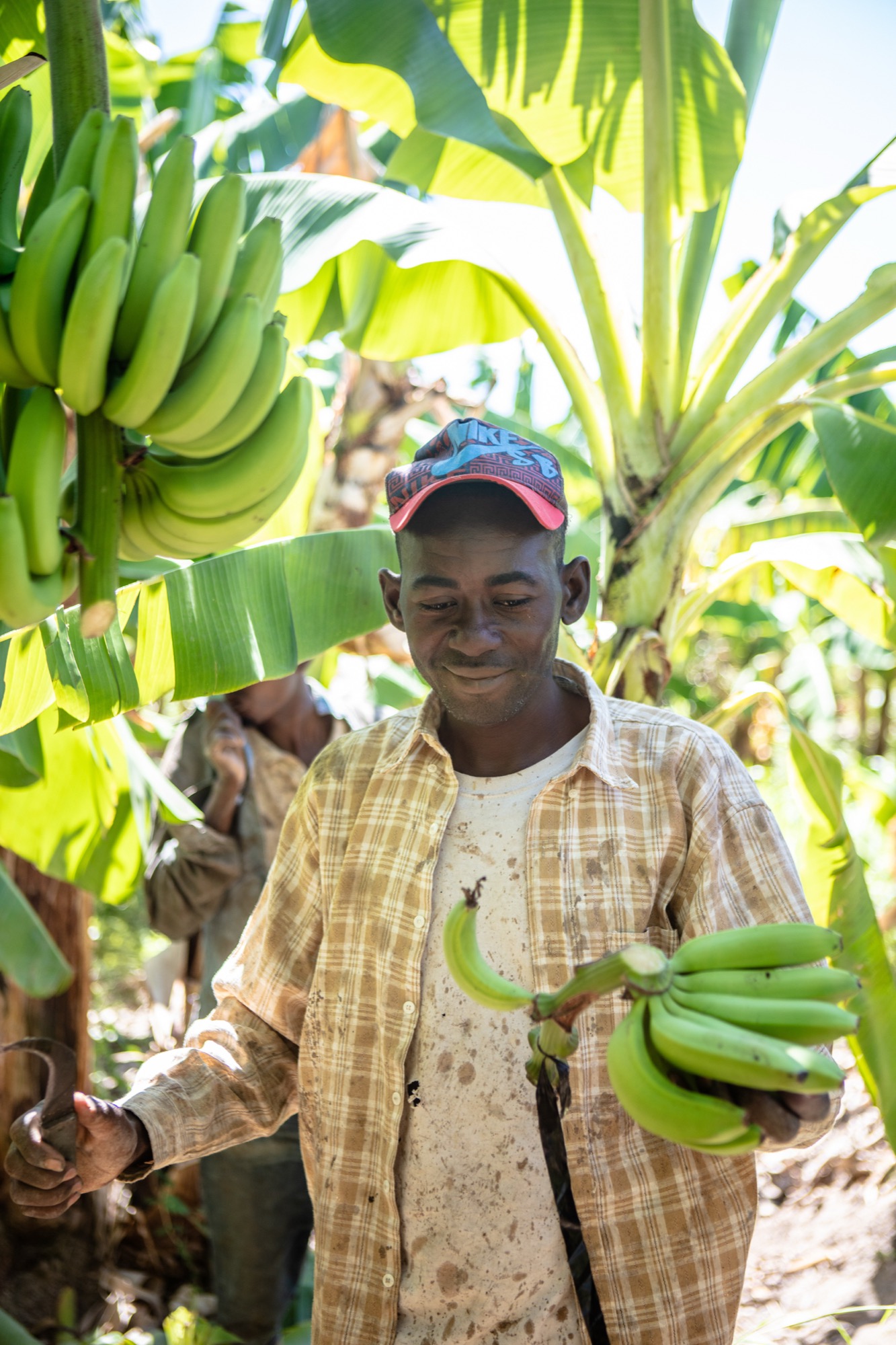 Maison Lufa - Banana Plantatons DR